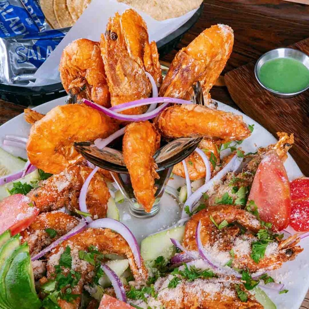 shrimp medical tourism