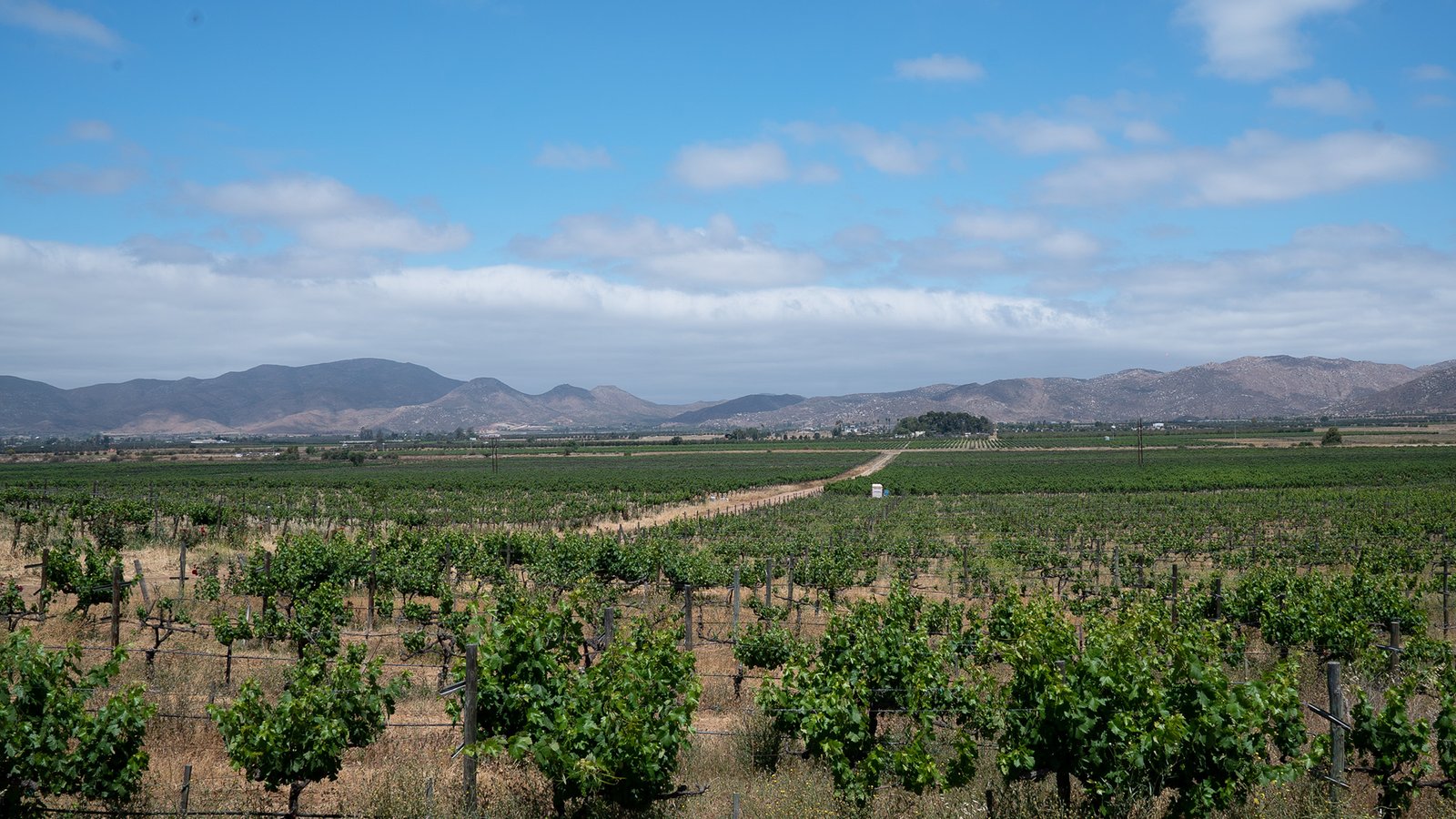 valle de guadalupe valle de guadalupe